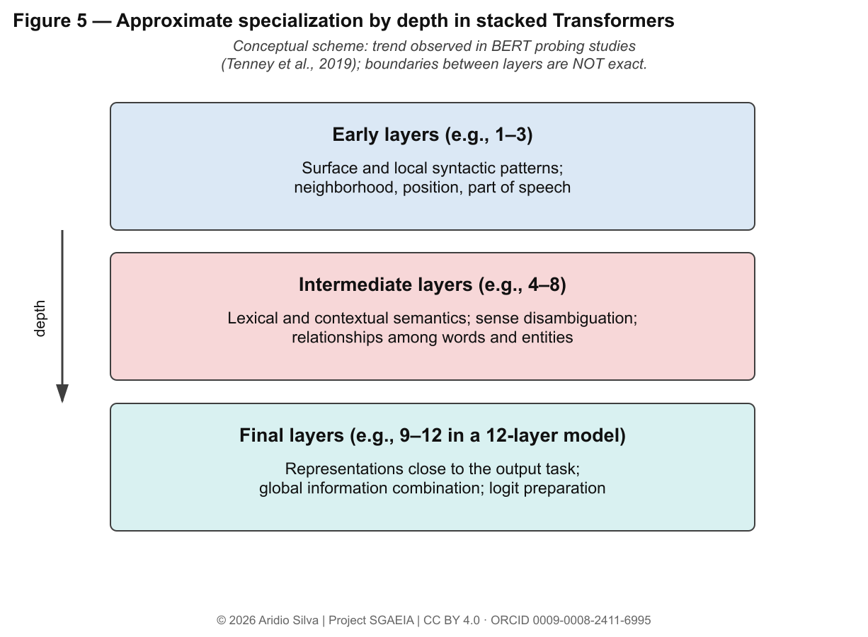 Figure 5 — Approximate specialization by depth in stacked Transformers